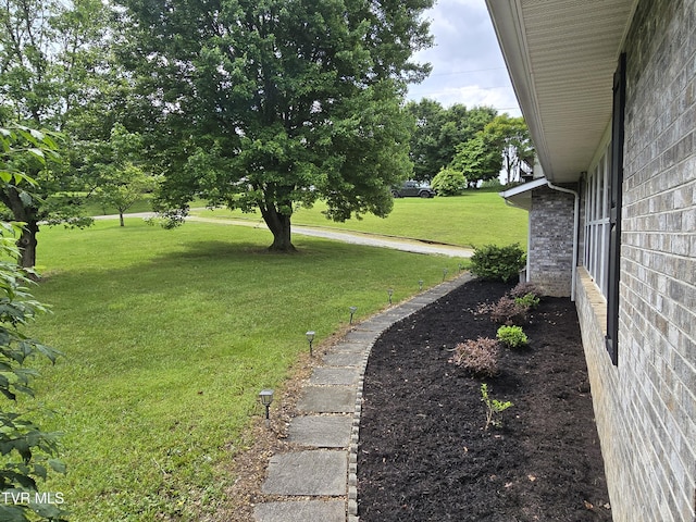 1382 Elijah Martin Rd, Whitesburg, TN 37891 - view of grassy yard