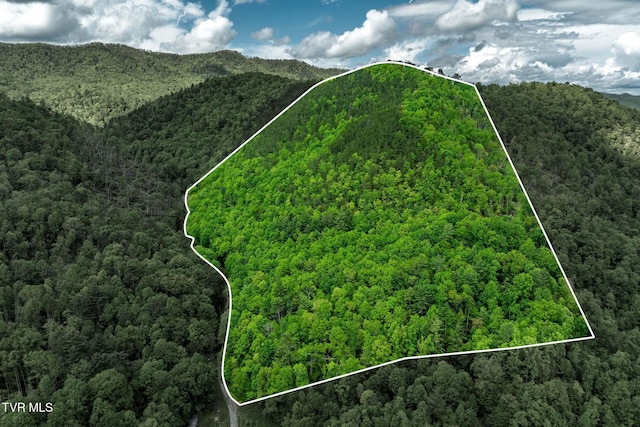 TBD Fire Tower Rd, Mountain City, TN 37683 - photo 1
