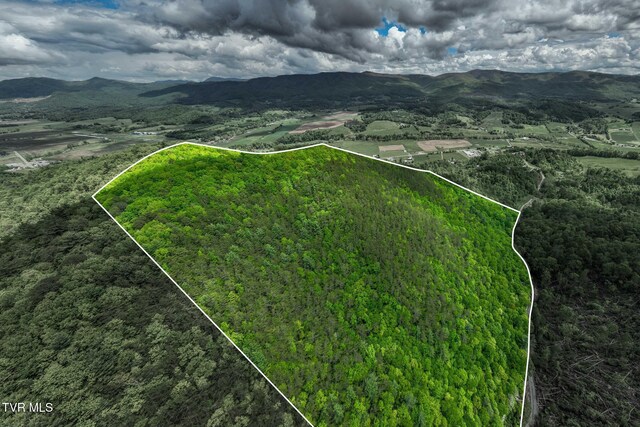 TBD Fire Tower Rd, Mountain City, TN 37683 - photo 3