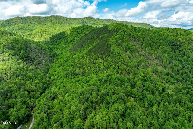 TBD Fire Tower Rd, Mountain City, TN 37683 - photo 4