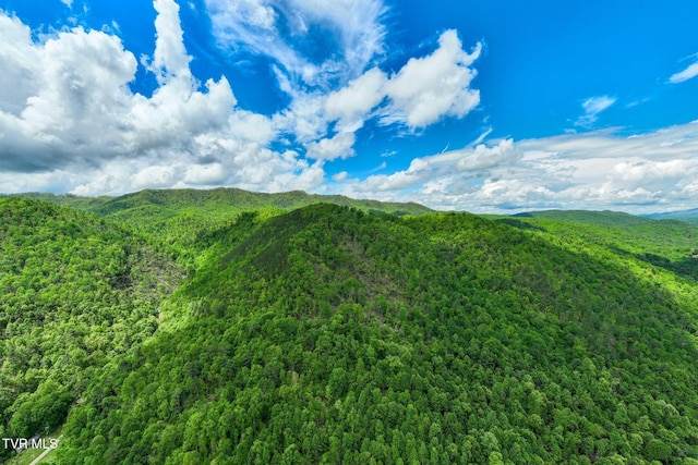 TBD Fire Tower Rd, Mountain City, TN 37683 - photo 5