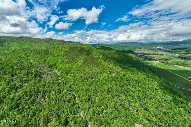 TBD Fire Tower Rd, Mountain City, TN 37683 - photo 6
