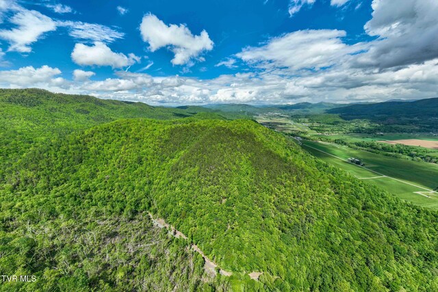 TBD Fire Tower Rd, Mountain City, TN 37683 - photo 7