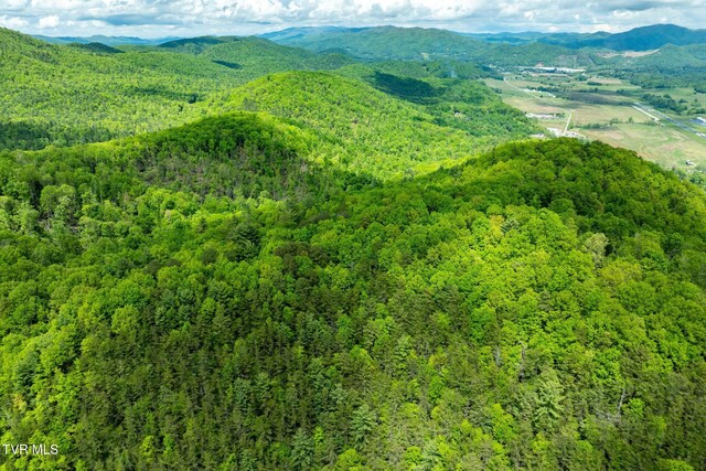 TBD Fire Tower Rd, Mountain City, TN 37683 - photo 11