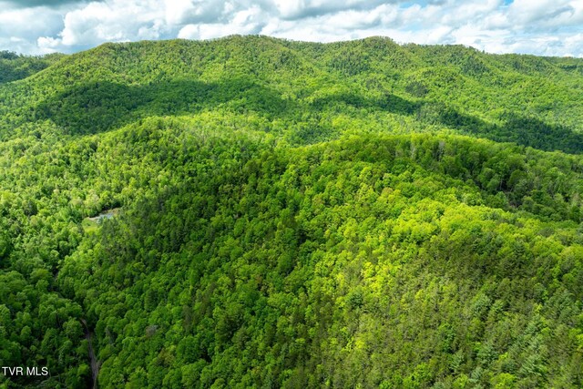 TBD Fire Tower Rd, Mountain City, TN 37683 - photo 12