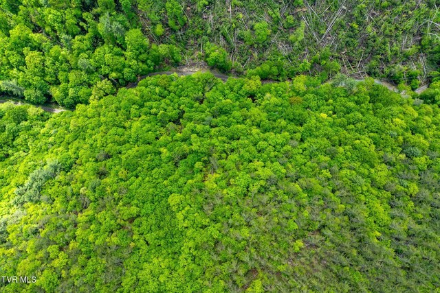 TBD Fire Tower Rd, Mountain City, TN 37683 - photo 13