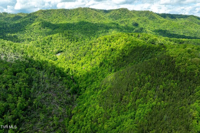 TBD Fire Tower Rd, Mountain City, TN 37683 - photo 14