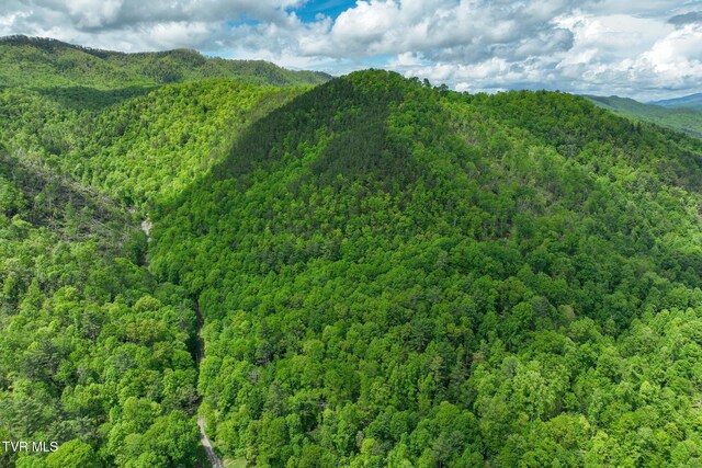 TBD Fire Tower Rd, Mountain City, TN 37683 - photo 15