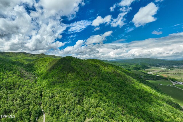 TBD Fire Tower Rd, Mountain City, TN 37683 - photo 16