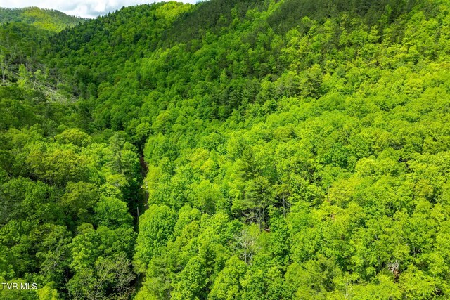 TBD Fire Tower Rd, Mountain City, TN 37683 - photo 17