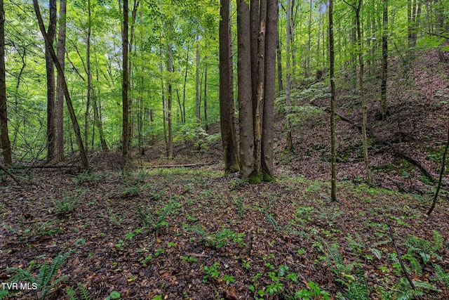 2039 War Valley Rd, Rogersville, TN 37857
