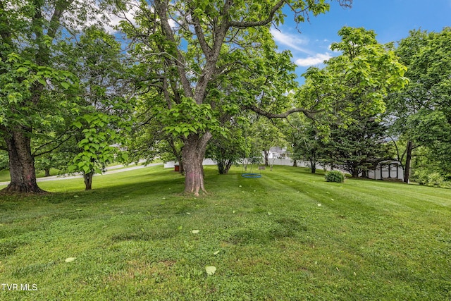 745 Keller Rd, Afton, TN 37616 - photo 7