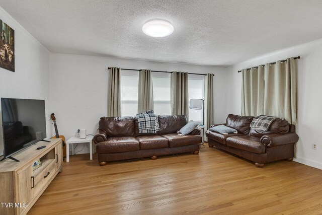 745 Keller Rd, Afton, TN 37616 - photo 9