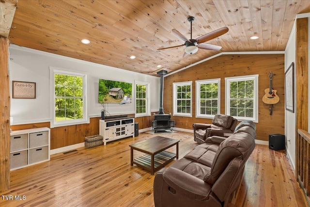 108 Chock Creek Rd, Johnson City, TN 37601 - living room featuring wood walls, a wood stove, wood ceiling, hardwood / wood-style floors, and lofted ceiling