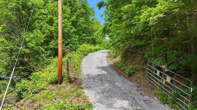 108 Chock Creek Rd, Johnson City, TN 37601 - view of dirt / gravel road featuring a view of trees and a gated entry