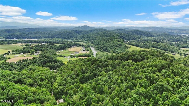 108 Chock Creek Rd, Johnson City, TN 37601 - aerial view of a forest and a mountainous background