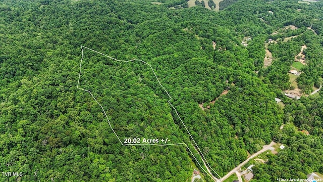 108 Chock Creek Rd, Johnson City, TN 37601 - map / location featuring property boundaries highlighted