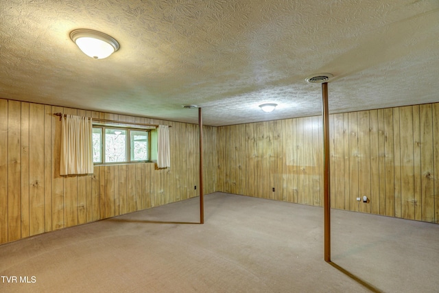 153 Columbine Rd, Kingsport, TN 37660 - basement featuring carpet, a textured ceiling, and wooden walls