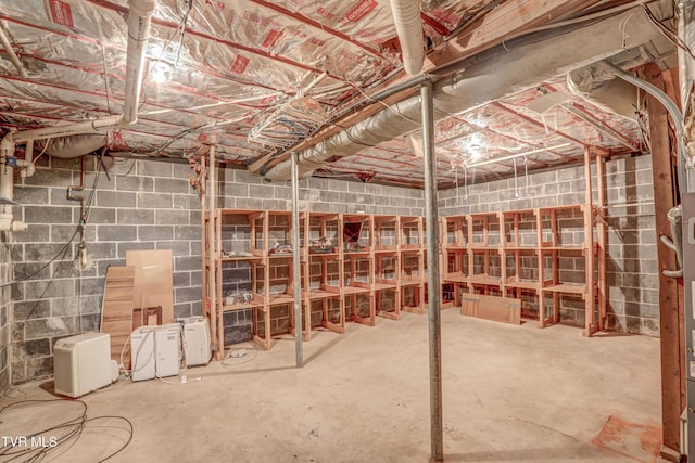 153 Columbine Rd, Kingsport, TN 37660 - unfinished below grade area with concrete block wall
