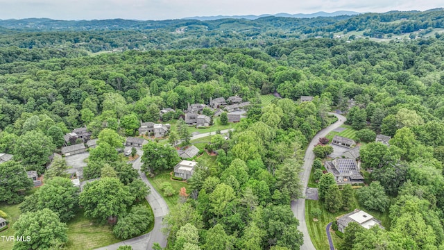 153 Columbine Rd, Kingsport, TN 37660 - drone / aerial view of a heavily wooded area