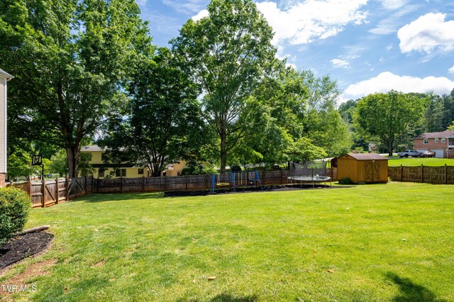 1420 Ruthbrooke Dr, Mount Carmel, TN 37645 - photo 9