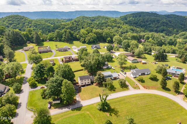 1420 Ruthbrooke Dr, Mount Carmel, TN 37645 - photo 58