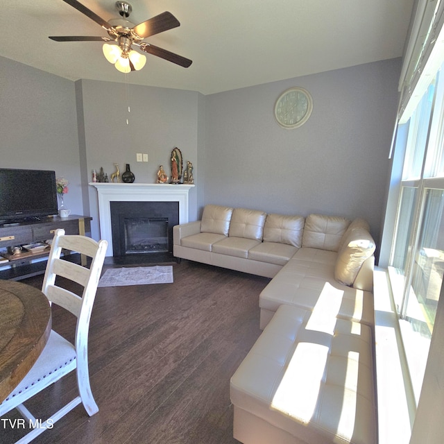 2358 Stream View Ln, Morristown, TN 37814 - living room with wood finished floors, a ceiling fan, and a glass covered fireplace