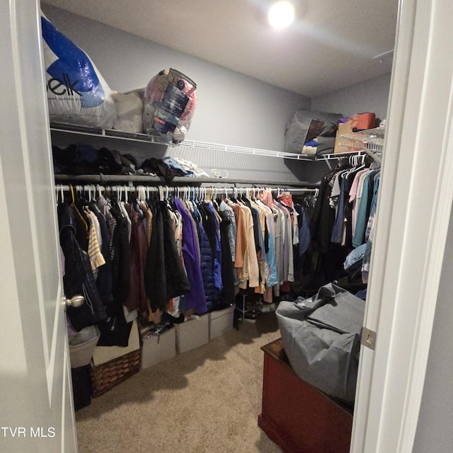 2358 Stream View Ln, Morristown, TN 37814 - spacious closet featuring carpet