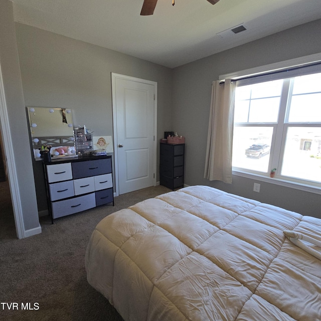 2358 Stream View Ln, Morristown, TN 37814 - carpeted bedroom with ceiling fan