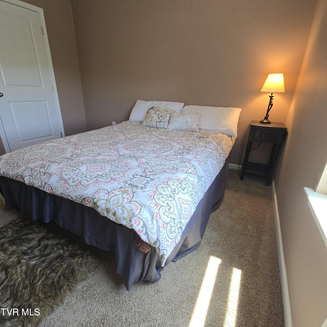 2358 Stream View Ln, Morristown, TN 37814 - bedroom featuring carpet flooring and baseboards