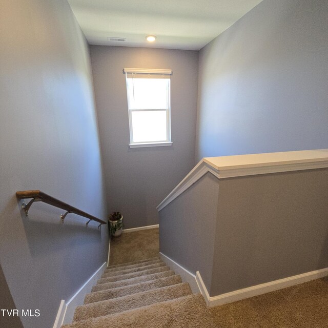 2358 Stream View Ln, Morristown, TN 37814 - stairs with carpet flooring and baseboards