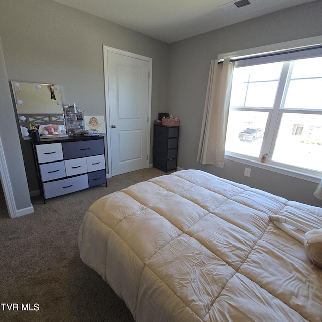 2358 Stream View Ln, Morristown, TN 37814 - bedroom with carpet floors