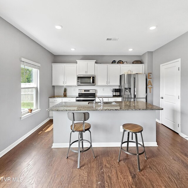 2358 Stream View Ln, Morristown, TN 37814 - kitchen with appliances with stainless steel finishes, a sink, dark wood-style floors, and recessed lighting