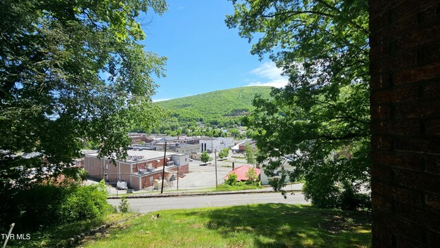 736 NW The Terrace St, Norton, VA 24273 - photo 6