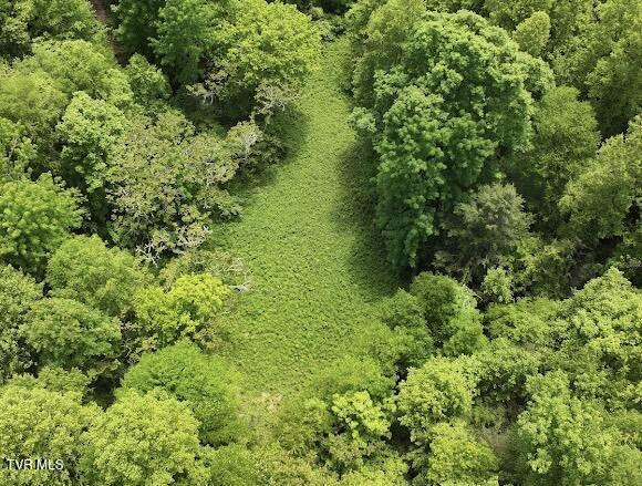 TBD Buffalo Hollow Rd, Castlewood, VA 24224