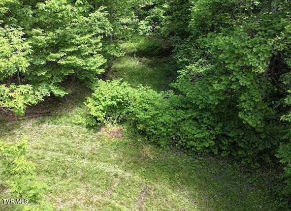 TBD Buffalo Hollow Rd, Castlewood, VA 24224