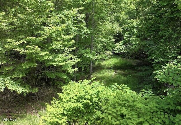 TBD Buffalo Hollow Rd, Castlewood, VA 24224