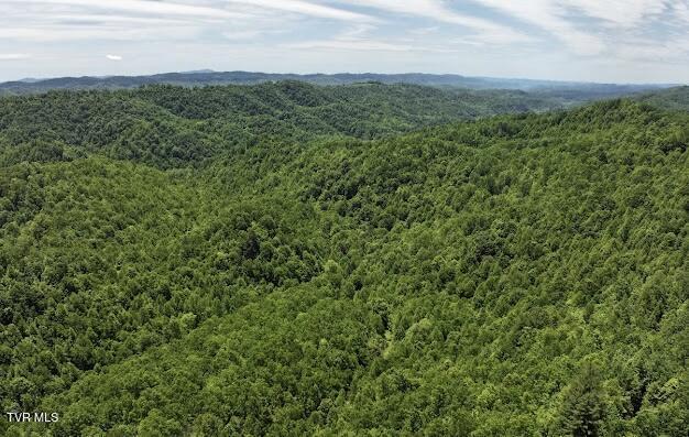 TBD Buffalo Hollow Rd, Castlewood, VA 24224
