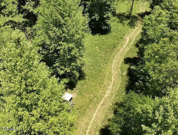 TBD Buffalo Hollow Rd, Castlewood, VA 24224