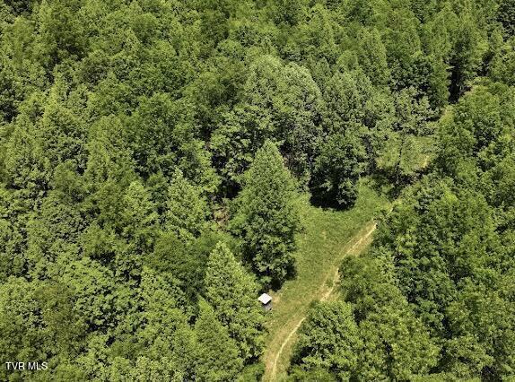 TBD Buffalo Hollow Rd, Castlewood, VA 24224