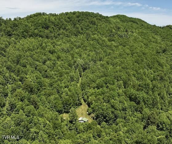 TBD Buffalo Hollow Rd, Castlewood, VA 24224