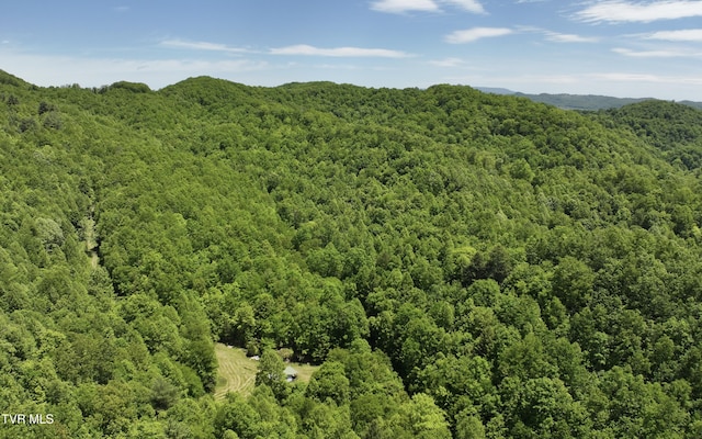 TBD Buffalo Hollow Rd, Castlewood, VA 24224