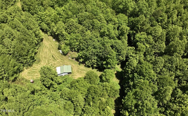 TBD Buffalo Hollow Rd, Castlewood, VA 24224