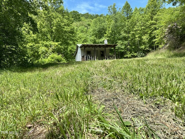 TBD Buffalo Hollow Rd, Castlewood, VA 24224