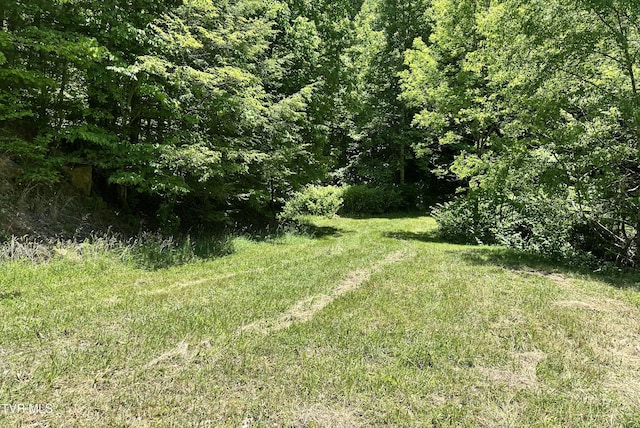 TBD Buffalo Hollow Rd, Castlewood, VA 24224
