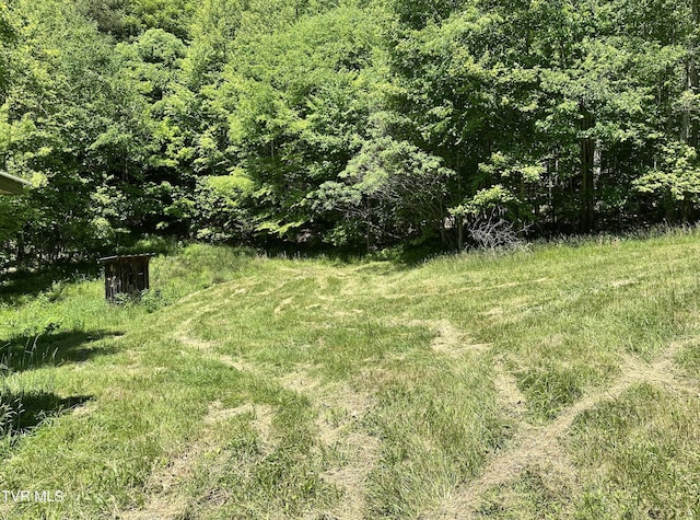 TBD Buffalo Hollow Rd, Castlewood, VA 24224