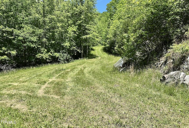 TBD Buffalo Hollow Rd, Castlewood, VA 24224