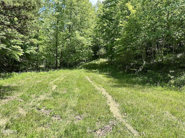 TBD Buffalo Hollow Rd, Castlewood, VA 24224