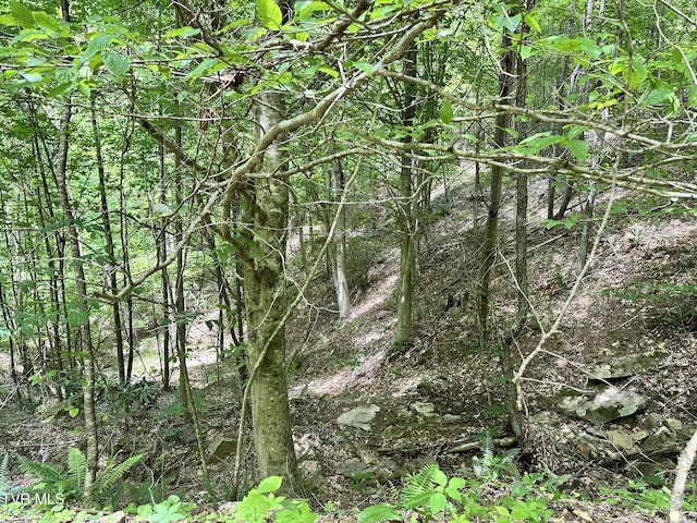 TBD Buffalo Hollow Rd, Castlewood, VA 24224