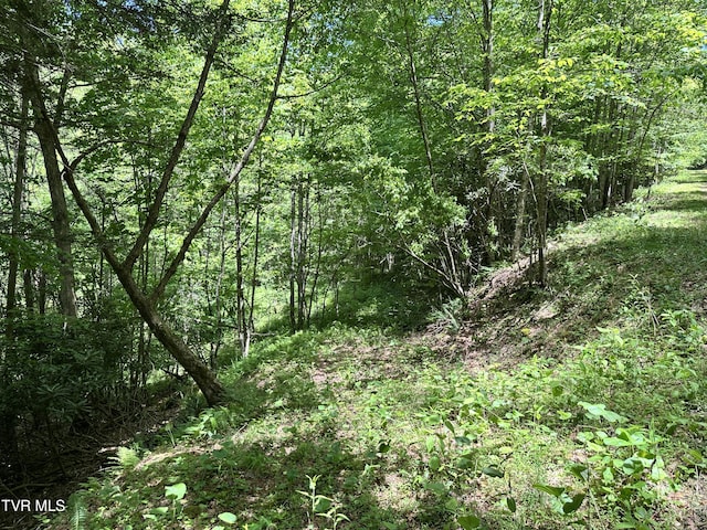 TBD Buffalo Hollow Rd, Castlewood, VA 24224